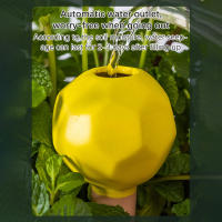 1Pc Sistema De Riego Por Drip Automático Cerámica Suministros De Cultivo En Maceta Dispositivo De Agujero Para Verificación De Agua - details 4