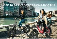 ENGWE Bicicleta Electrica para Adultos, 20 * 4.0 Fat Tire Step-Through E-Bike para Mujeres - Bateria 48V 13A - 7-Velocidades - Amortiguador Dual - para Desplazamientos y Excursiones L20 - details 3