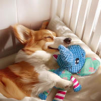 Juguete De Peluche Para Mascotas Juguetes Interactivos De Animales Lindos Mordible Resistente a Masticar Para Perros Juguetes Para Limpieza De Dientes - details 2