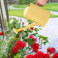 Botella De Riego Para Plantas 2L Con Boquilla Larga Y Cabeza De Pulverización Desmontable Para Flores Y Plantas Domésticas Herramientas De Jardinería - details 6