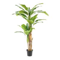 MISTERWILS FURNITURE FOR FREE SOULS - Planta Artificial Decorativa Árbol Platanero Multitronco 215cm + Maceta Básica - details 0