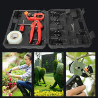Juego De Tijeras De Enraizamiento Profesional Para Jardín Y Agricultura Corte De Frutas Arbolado Herramienta De Podar - details 2