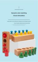Juguetes De Desarrollo Intelectual Temprano Para Bebés Montessori Cilindro Con Agujeros Bloques Sensoriales De Color Para Cognición Edad Recomendada De 7 a 36 Meses - details 7