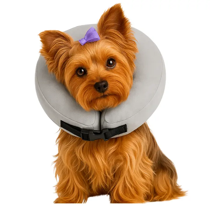 Ideal Pets, Collar Isabelino para Perros + Collar a medida| Collar de Recuperación para Perro | Collar Perros para No Rascarse - 1