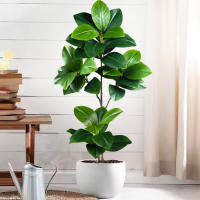 Falsa Hoja De Magnolia Y Ficus 105cm Para Decoración De Jardín Patio Interior Oficina Hoja De Figura Artificial De 41.3 Pulgadas - details 1