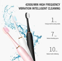 Cepillo De Dientes Eléctrico Sonic Para Adultos IPX7 Impermeable Cabeza De Cepillo DuPont Recargable Por USB Limpieza De Alta Frecuencia 6 Modos De Limpieza - details 4