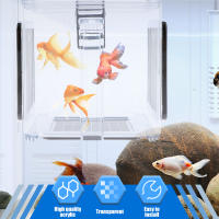 Caja De Cría De Acuario Acrílica Con Tapa Desmontable Para Pequeños Peces Y Cangrejos Incubador De Peces Con Malla Transparente Para Aislamiento - details 0