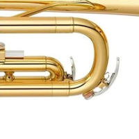 Kit De Reparación De Fagot Profesional Con Válvula De Agua Y Bronce Accesorio De Instrumento De Música Para Reparar Fagots Y Trombones - details 2