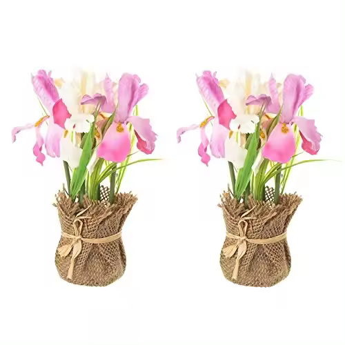 Pack 2 Planta iris decorada maceta de tela de saco -DAMDAM GO - 1
