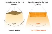 Lámpara De Crecimiento LED De Espectro Completo 300W Para Plantas Uso En Invernadero Interior Iluminación Para Frutas Suculentas Y Agricultura De Sopletes - details 9