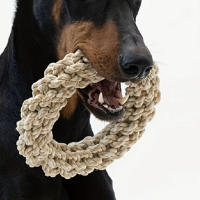 Juguete Para Perros Grande Diametro 17CM Resistente Mordida Redondo De Cuerda Juguete Para Masticar Para Perros Medianos Y Grandes Accesorios Para Golden Retriever Weimaraner - details 1