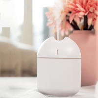 Humidificador de Aire Ultrasonido Mini 250ML con Luz LED Difusor de Aceites Esenciales Purificador para Hogar y Coche Aroma Anión Hecho en China - details 4