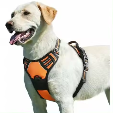 Arnés para perros antitirones: reflectante, ajustable, con asa de control, transpirable y duradero - 1