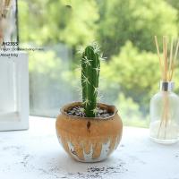 Adorno De Eje Artificial De Eje Felpudo DIY Micro Paisaje Tropical Plantas Suculentas Realistas Decoración Para Hogar Y Oficina - details 4