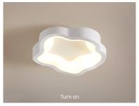 Lámpara De Techo Minimalista LED Para Entrada Pasillo Y Balcones Iluminación Interior Creativa En Acrílico Luz De Ambiente Doméstico Moderna Y Eficiente - details 6