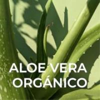 Collagen Deluxe Retinol Crema de día y noche Set I AM & PM I Piel hidratada y radiante I Retinol, niacinamida, vitamina E, aloe vera orgánico, manteca de karité - details 2