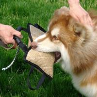 Juguete Interactivo Para Morder De Lino Para Perros Medianos Y Grandes Almohadilla De Masticar Dura Para Ejercicios De Agarre - details 5