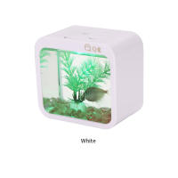 Acuario Pequeño Creativo Con Luz Colorido Y Desmontable Para Betta Sin Batería Seca Incluida Ecología Mini Escenario Acuático - details 7