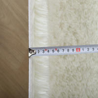 Carpetas Suaves De Pelo Negro Para Sala De Estar Y Dormitorio Alfombra Moderna Para Hogar Decorativa Para Pisos Y Camas - details 7