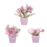 Set De 3 Plantas Miniatura En Macetas Simuladas Para Decoración De Hogares Restaurante Mesas Ventanas Y Estantes Material Plástico Estilo Bonsái - details 9