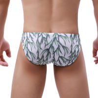 Bikini De Verano Para Hombres Briefs De Natación Sexy Surf Rápidamente Secos Trajes De Baño Cortos De Playa Moda Masculina - details 5