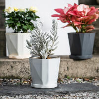 Macetas De Plástico Para Interiores Y Exteriores Grandes Para Plantas Succulentas Y Verdes Maceta Clásica Para Escritorio - details 4