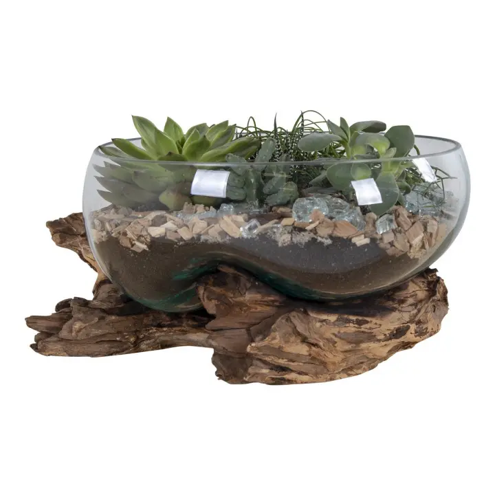 Terrario San, Madeira, Marron, 26x26x20 cm - 1