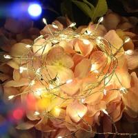 Luces De Encaje LED Para Exteriores 3/10/18/36 Metros Control Remoto Para Decoración De Navidad Jardín Fiesta Casamiento - details 5