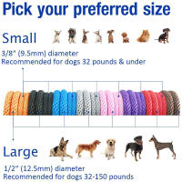 Correa Y Collar De Nylon Duradero Para Perros Medio Y Grande 2 En 1 Ajustable Cómodo Con Anillo De Solución Para Mascotas - details 3