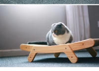 Tablero De Rasguñar Para Gatos Con Marco De Madera 3 En 1 Sillón De Descanso Antirraspado Juguete Para Uñas Sofá Para Gatos - details 13