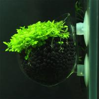 Decora Tu Acuario Con Este Mini Recipiente De Cristal Colgante Para Tanque De Peces. Accesorio Ideal Para Plantas Acuáticas. Transparente. Tamaño 7cmx6.4cm. Peso 73g. - details 4