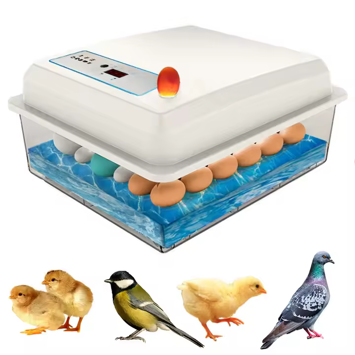 Kit de incubadora de 20 huevos para cría doméstica de pollo, ganso, pato, pájaro, incubadora de huevos - 1