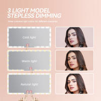 Espejo De Visera De Coche HD Con LED Y Pantalla Táctil Ajustable Y Luz Dimmable USB Recargable Dos Colores Espejo De Maquillaje Para Interior Del Automóvil - details 1