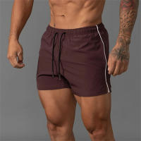 Nuevos Shorts Deportivos Para Hombre 2024 Transpirables Y Ligeros Pantalones De Fitness Para Running Y Playa Estilo Casual - details 13