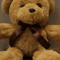 Oso De Peluche Grande 30cm En 16 Estilos Rosa Gris Blanco Suave Muñeco De Peluche Juguetes Para Niños Y Niñas Regalo De Cumpleaños - details 17