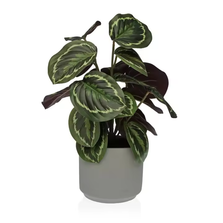 Planta Decorativa Versa 15 x 40,5 x 15 cm Cemento Plástico - 1