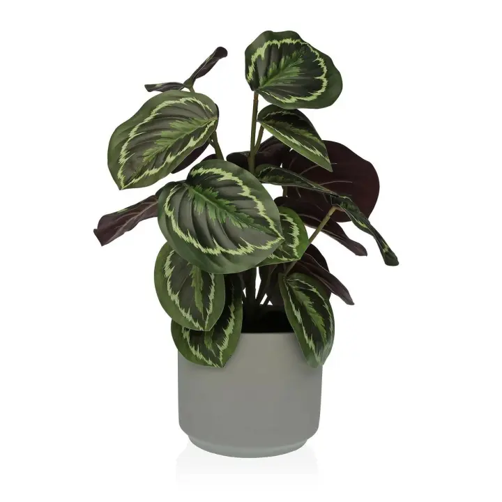 Planta Decorativa Versa 15 x 40,5 x 15 cm Cemento Plástico - 1