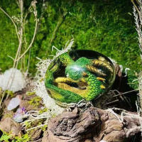 Nueva Estatua De Huevo De Dragón Lava Resina Escultura De Dinosaurio Ornamental Piedra Gemela Souvenir Decoración Para El Hogar Colección Regalo Para Niños - details 5