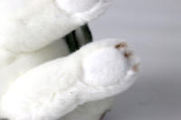 Muñeco De Peluche Kawaii Schnauzer Pequeño Suave Simulación Juguete De Peluche Para Niños Animal De Peluche Lindo Accesorio Fotográfico Regalo De Cumpleaños Para Niñas - details 7
