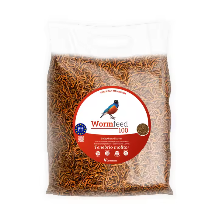Wormfeed 100 - Gusano de Harina Superior 250 g - Larvas de Tenebrio molitor para Alimentación de Aves, Reptiles, Roedores y Peces - Fuente Rica en Proteínas y Ácidos Grasos Omega 3 y 6 - Calidad Europea - Davianfeed - 1