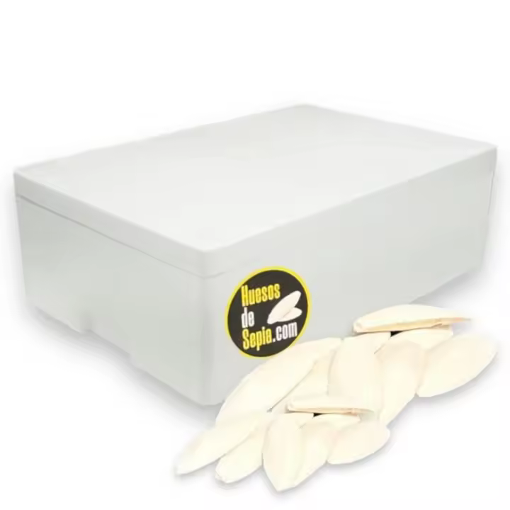 Hueso de sepia a granel Strongcages (Calcio y minerales naturales para sus aves) 875 gr - 1