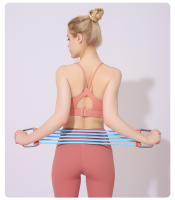 Set De Ejercicio Corporal Completo Con Expansor De Pecho Y 5 Cuerdas De Resistencia Removibles Para Pilates Push Ups Y Entrenamiento Muscular Fortalecimiento De Músculos - details 8