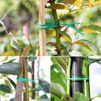 Cable De Jardín De Nylon 100M Amarras Reutilizables Para Poder Y Cable Flor Multi-función Straps Fijador De Alta Calidad - details 8
