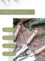 Juego De 5 Piezas De Jardín Con Pala Rascador Y Escarabajo Manija De Madera Para Plantas En Macetas Y Jardín Herramienta De Jardinería Para El Hogar - details 1