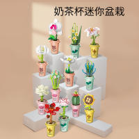 Bloques De Construcción DIY MOC Plantas Succulentas Cactus Gypsophila Bonsái Jardín Modelo Romántico Para Niños Kit De Juguetes - details 24