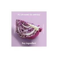 PLC Vita K Liposome Oil Ampoule - details 5