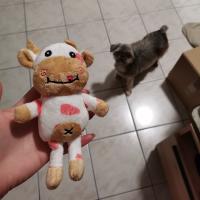 Muñeco De Peluche Mini Búfalo Cartoon Para Mascotas Limpieza De Dientes Juguete De Masticar Sin Sonido Adecuado Para Perros - details 3