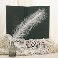 Tenvity 15pcs Bouquet De Flores De Pampas Artificiales Para Decoración De Hogar Boda Navidad Vaso DIY Fiesta Bedroom Plantas De Juncos Falsas - details 7