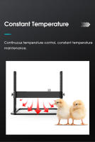 Calefactor Inteligente Para Pájaros Pequeño Con Placa De Calentamiento Seguro Control De Temperatura Para Pollos Accesorio De Jaula Para Mascotas - details 8
