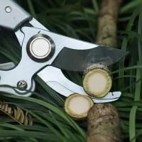 Tijeras De Poda Multifuncionales De Acero Inoxidable En Forma De Pico De Pájaro Herramienta De Poda Laboriosa Para Frutas Y Ramas - details 5